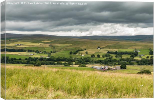 Hield House and Ettersgill, Upper Teesdale Canvas Print by Richard Laidler
