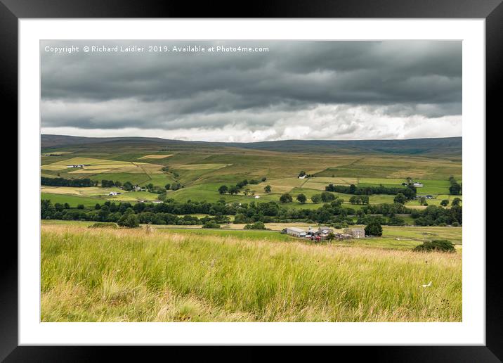 Hield House and Ettersgill, Upper Teesdale Framed Mounted Print by Richard Laidler