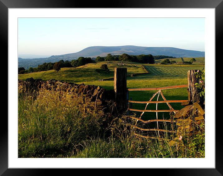 view from a 5 bar gate Framed Mounted Print by Craig Coleran