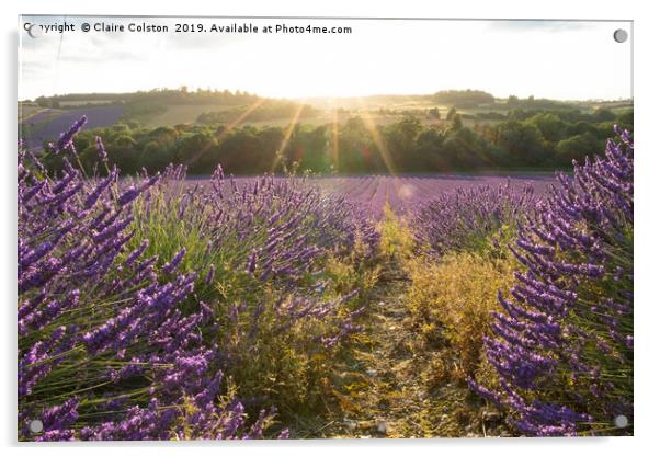 Lavender Fields Acrylic by Claire Colston