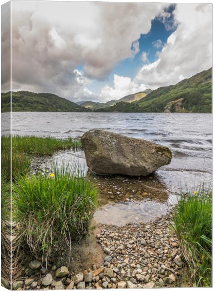 Lush green Canvas Print by Jonathon barnett