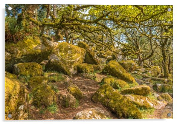 Wistmans Wood Dartmoor Acrylic by Andrew Michael