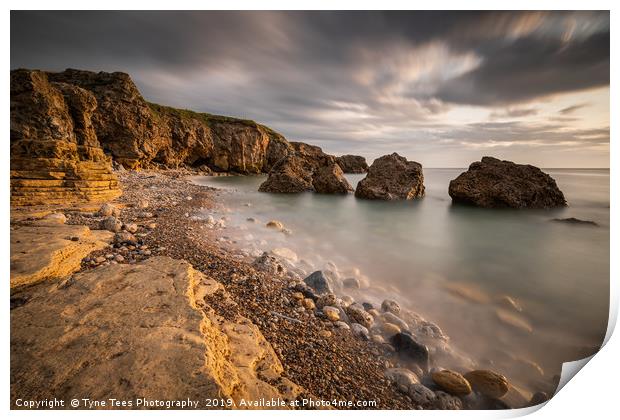 Trow Point  Print by Tyne Tees Photography