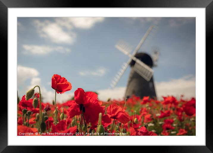 Whitburn WIndmill Framed Mounted Print by Tyne Tees Photography