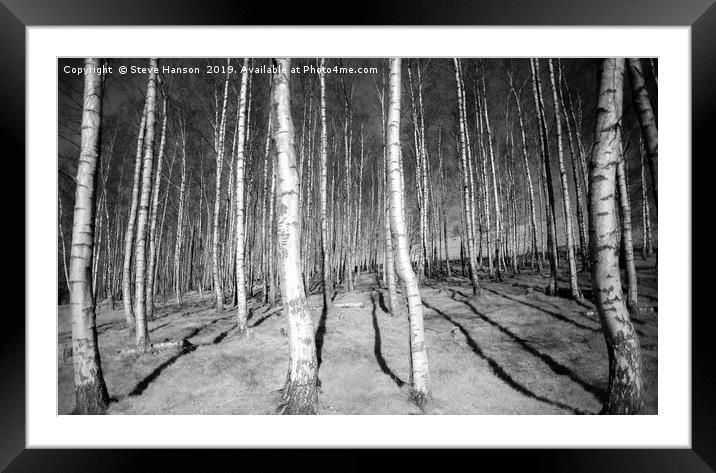 Silver Birch Forest  Framed Mounted Print by Steve Hanson