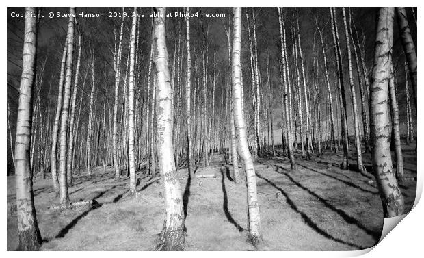 Silver Birch Forest  Print by Steve Hanson
