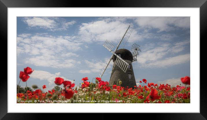 Poppies at Whitburn Windmill Framed Mounted Print by Tyne Tees Photography