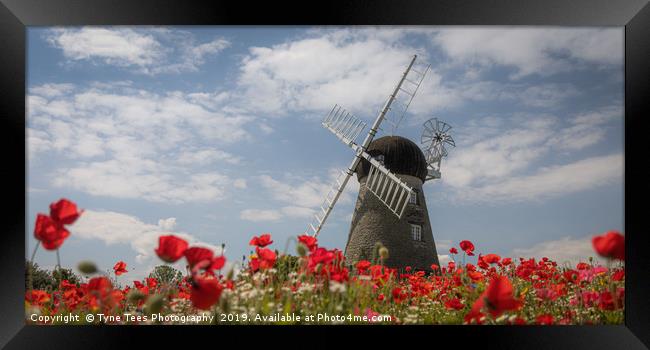 Poppies at Whitburn Windmill Framed Print by Tyne Tees Photography
