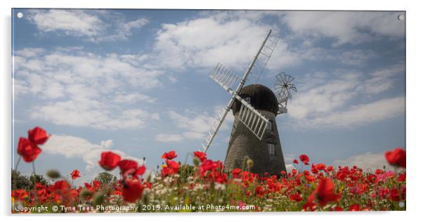 Poppies at Whitburn Windmill Acrylic by Tyne Tees Photography