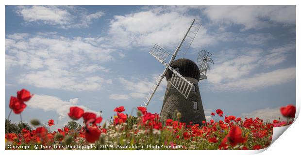 Poppies at Whitburn Windmill Print by Tyne Tees Photography