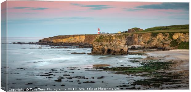 Low Tide at Marsden Rock Canvas Print by Tyne Tees Photography