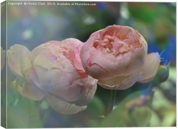 Soft Pink Roses Canvas Print by Nicola Clark