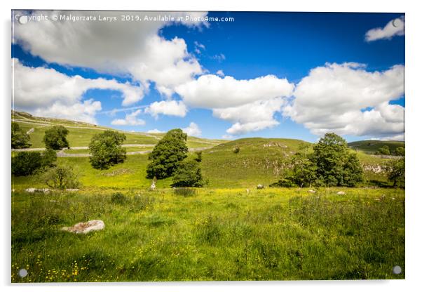 Summer landscape at Malham Cove Yorkshire Dales Na Acrylic by Malgorzata Larys