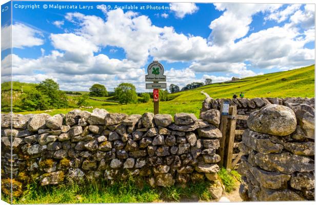 Old, stone wall on the way to Malham Cove Yorkshir Canvas Print by Malgorzata Larys