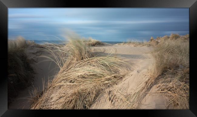 Sand Dunes and Salty Air Framed Print by Rich Berry