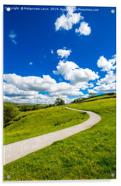A path to Malham Cove Yorkshire Dales National Par Acrylic by Malgorzata Larys
