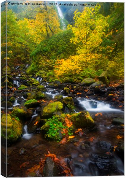 Surrounded by Fall Color Canvas Print by Mike Dawson