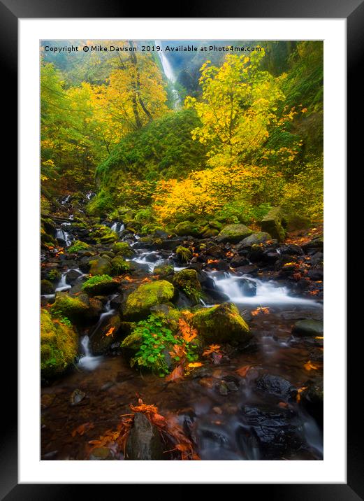 Surrounded by Fall Color Framed Mounted Print by Mike Dawson