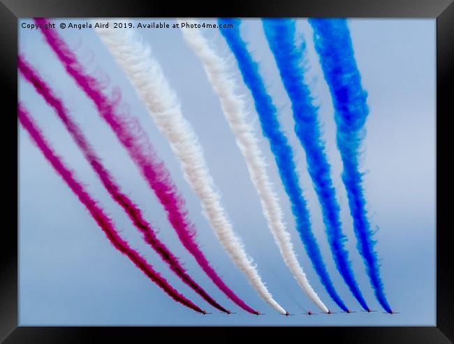 The Red Arrows. Framed Print by Angela Aird
