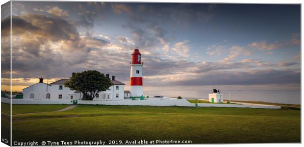 Souter Lighthouse Canvas Print by Tyne Tees Photography