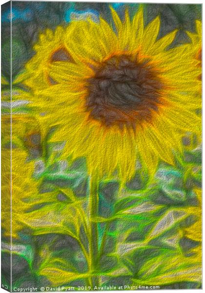 Art Of The Single Sunflower Canvas Print by David Pyatt