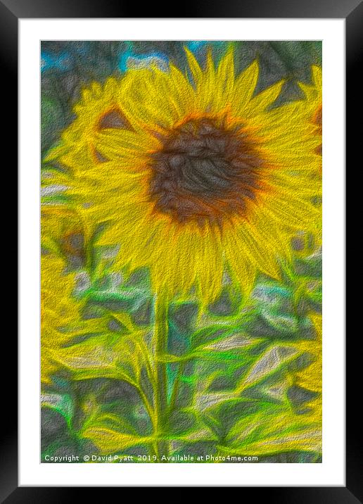 Art Of The Single Sunflower Framed Mounted Print by David Pyatt