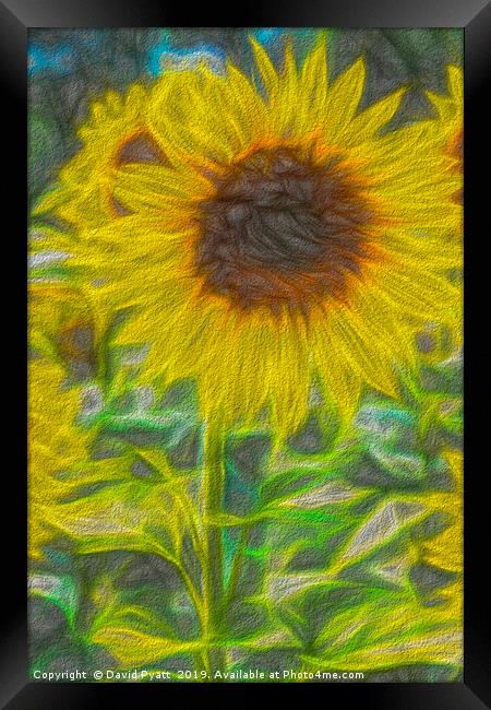 Art Of The Single Sunflower Framed Print by David Pyatt