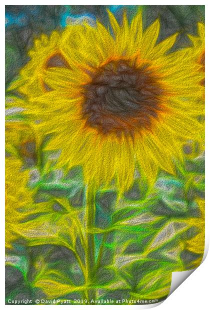 Art Of The Single Sunflower Print by David Pyatt
