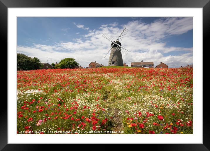 Poppies at Whitburn Framed Mounted Print by Tyne Tees Photography