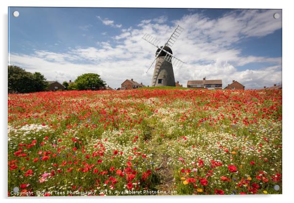 Poppies at Whitburn Acrylic by Tyne Tees Photography