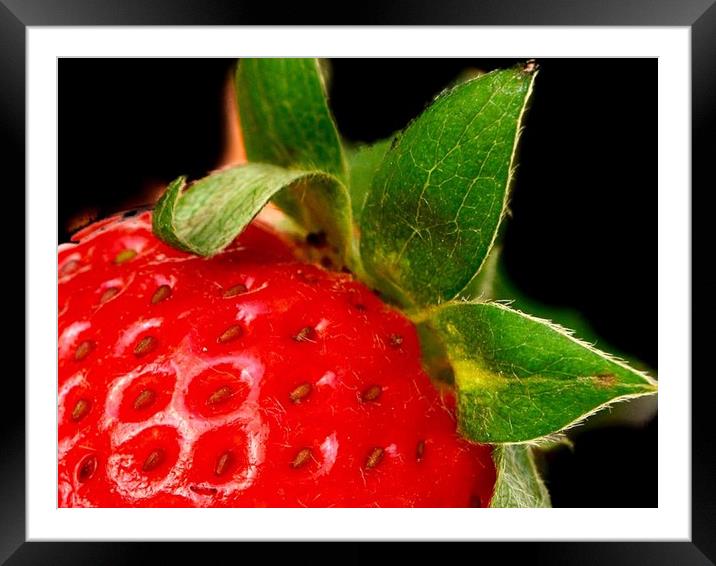Seductive Strawberry Framed Mounted Print by Beryl Curran