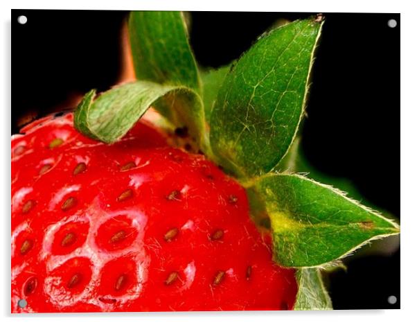 Seductive Strawberry Acrylic by Beryl Curran