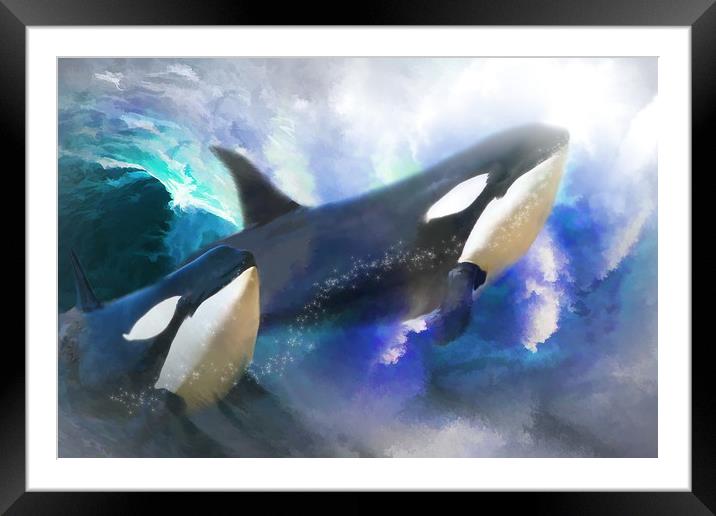 Orca Wild Framed Mounted Print by Trudi Simmonds