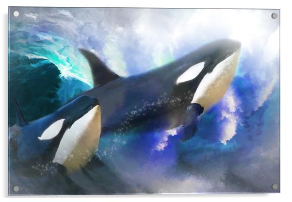 Orca Wild Acrylic by Trudi Simmonds