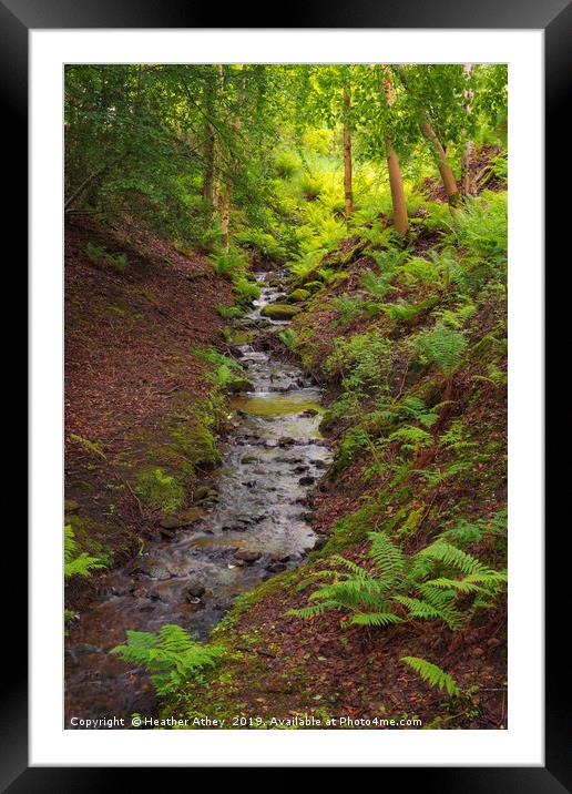 Woodland Stream Framed Mounted Print by Heather Athey