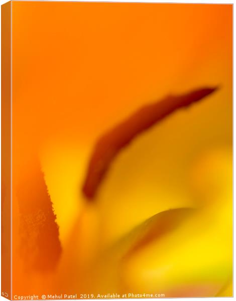 Abstract image inside a tulip  Canvas Print by Mehul Patel