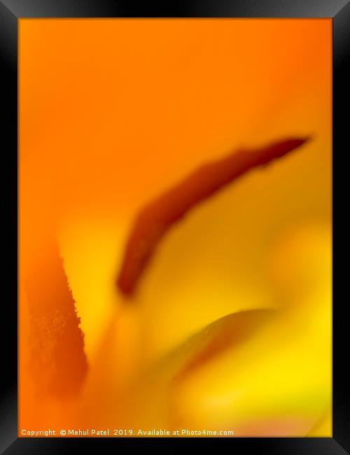 Abstract image inside a tulip  Framed Print by Mehul Patel