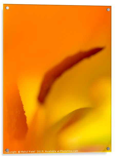Abstract image inside a tulip  Acrylic by Mehul Patel
