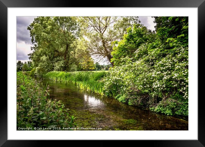 The River Itchen Framed Mounted Print by Ian Lewis