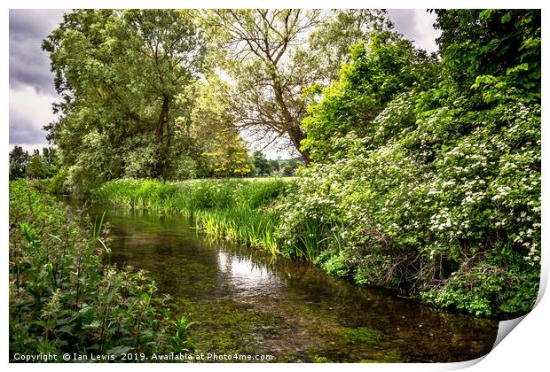 The River Itchen Print by Ian Lewis