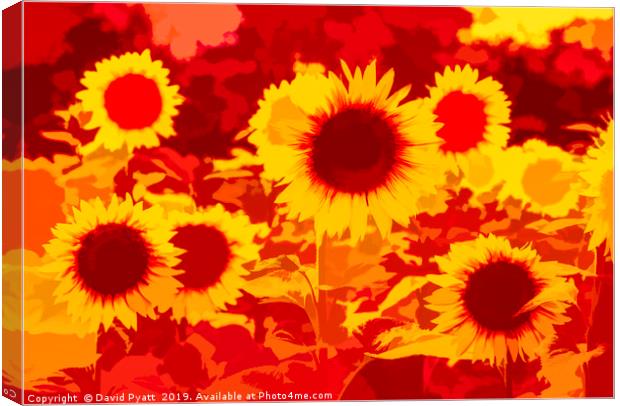 Sunflowers Field Of Fire Canvas Print by David Pyatt