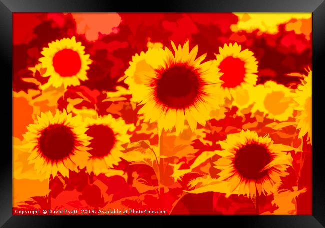 Sunflowers Field Of Fire Framed Print by David Pyatt