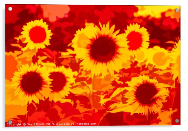 Sunflowers Field Of Fire Acrylic by David Pyatt