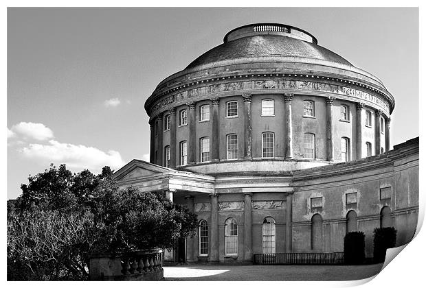 Ickworth House - The rotunda in Black & White Print by Terry Pearce