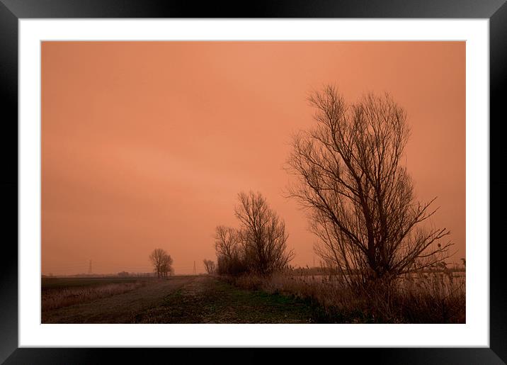 Fenland Drove on a dull day Framed Mounted Print by Terry Pearce