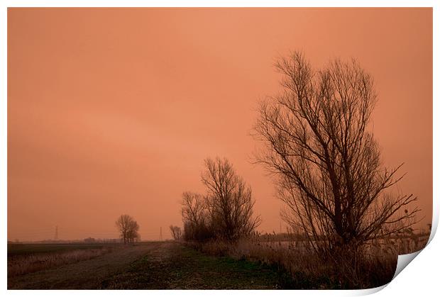 Fenland Drove on a dull day Print by Terry Pearce