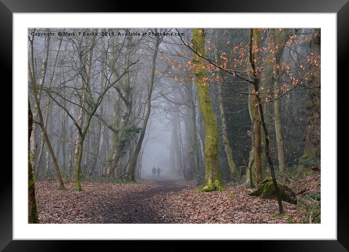Woods with a forgotten past Framed Mounted Print by Mark  F Banks