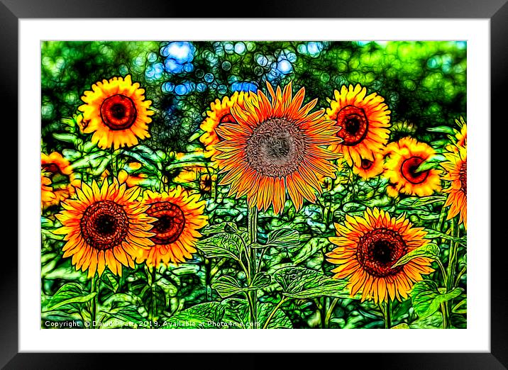 Sunflowers Stained Glass Framed Mounted Print by David Pyatt