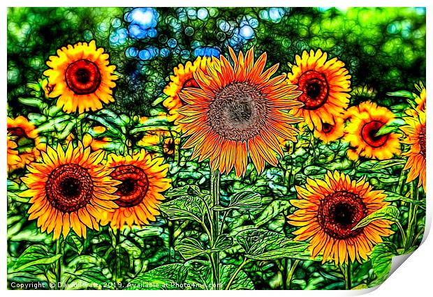 Sunflowers Stained Glass Print by David Pyatt