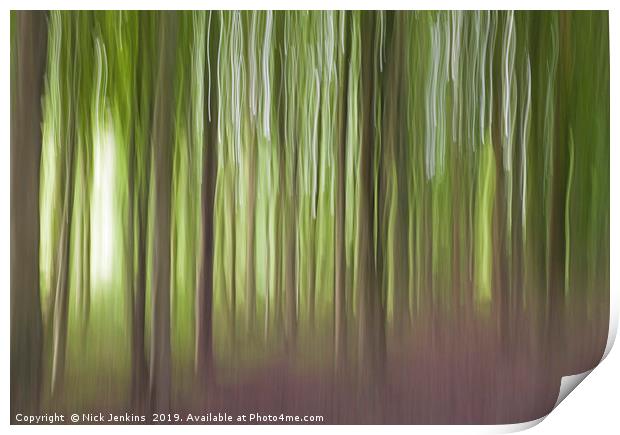 The Wentwood Forest in Monmouthshire Print by Nick Jenkins